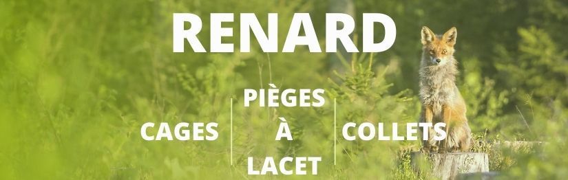 Piege a renard - HenonShop