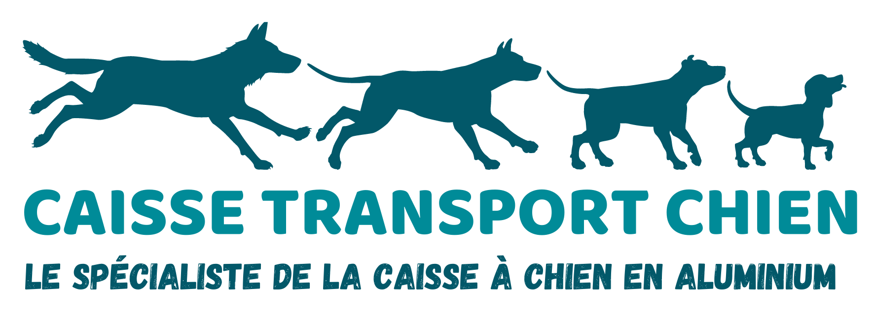 Caisse de Transport Chien & Chat 49cm Anthracite