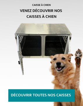Easy - Caisse Transport Chien